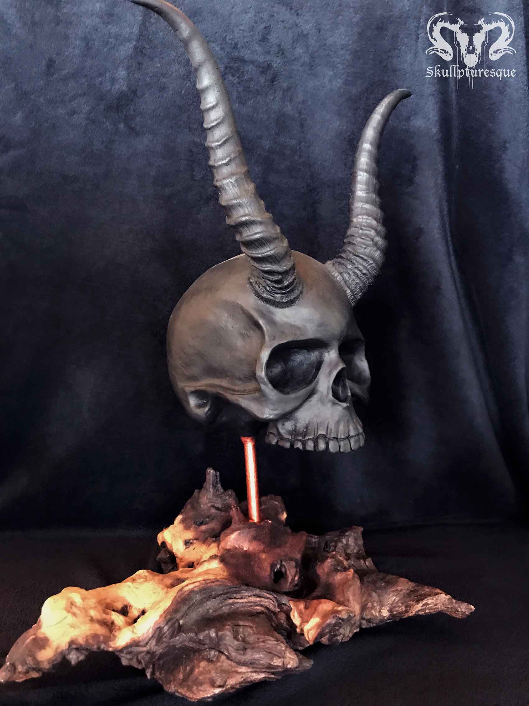 human skull with horns